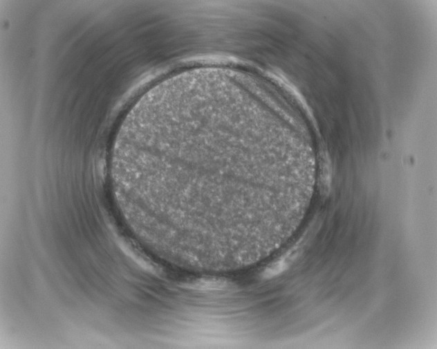 X0000085260063200704092125