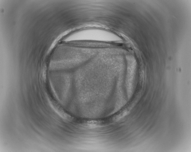 X0000085260064200704092125