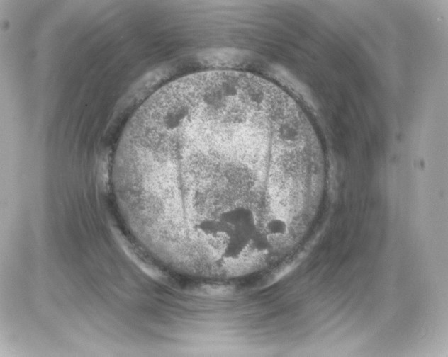 X0000085260065200704092125