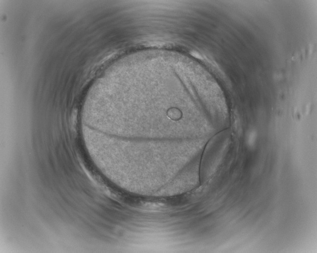 X0000085260066200704092125