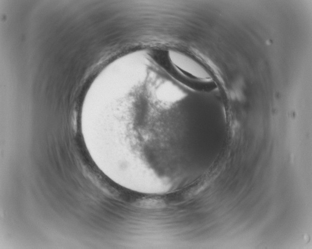 X0000085260067200704092125