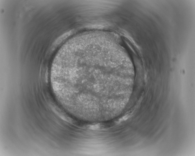 X0000085260068200704092125