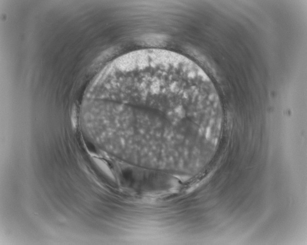 X0000085260069200704092125