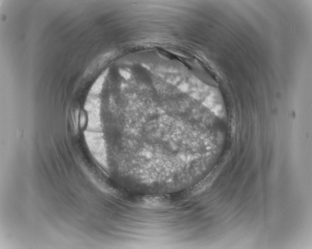 X0000085260070200704092125