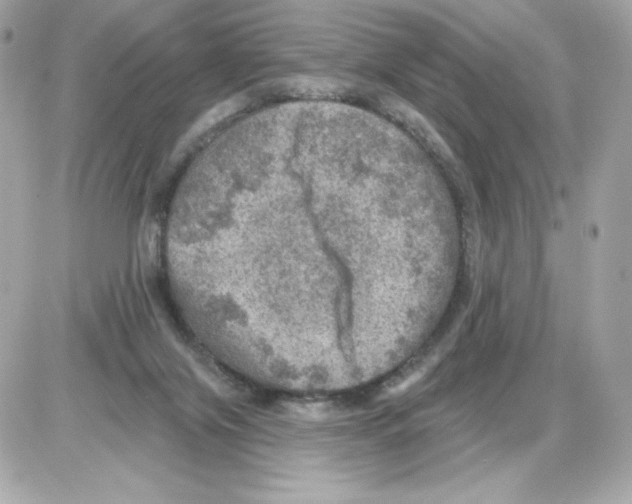 X0000085260071200704092125