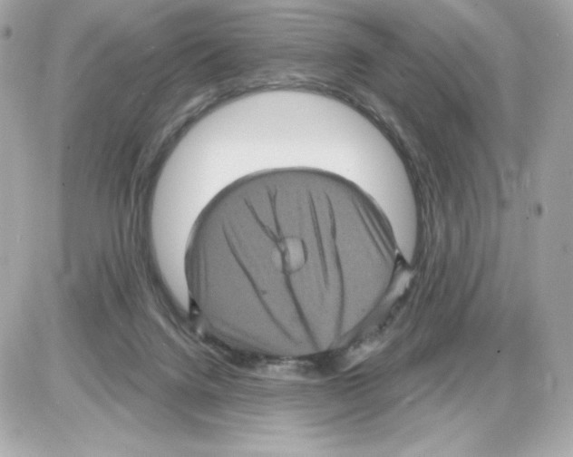 X0000085260072200704092125