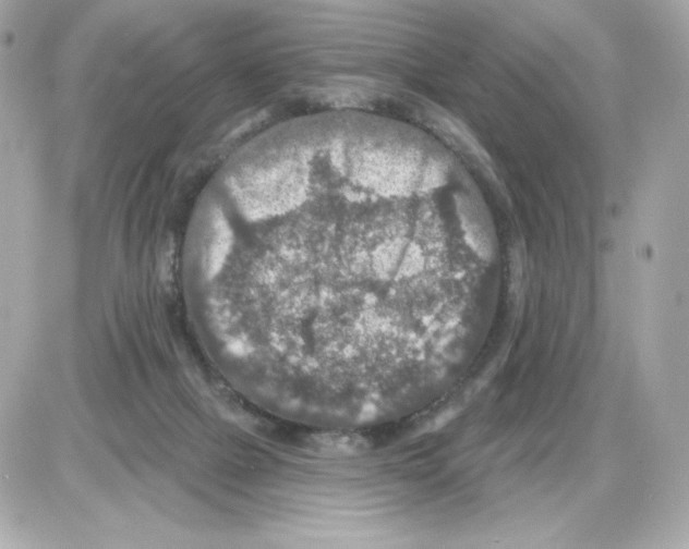 X0000085260073200704092125