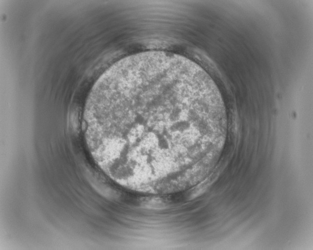 X0000085260074200704092125