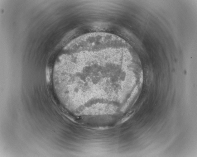 X0000085260075200704092125