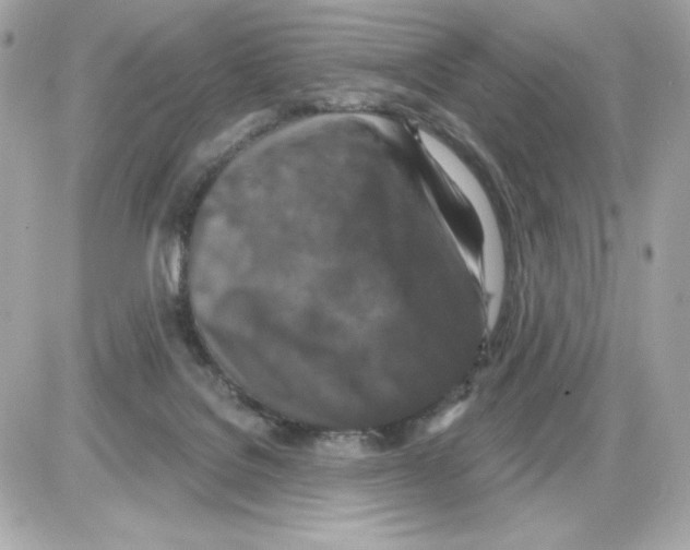 X0000085260076200704092125