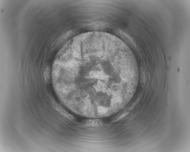 X0000085260077200704092125