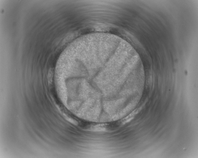 X0000085260078200704092125