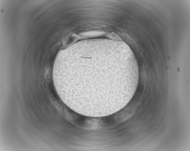 X0000085260079200704092125