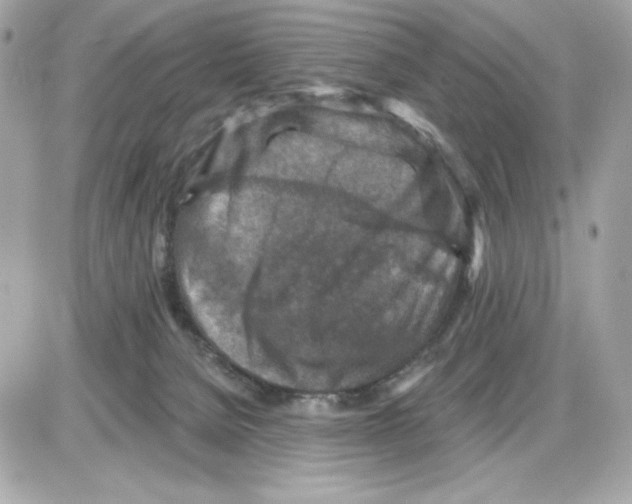 X0000085260080200704092125