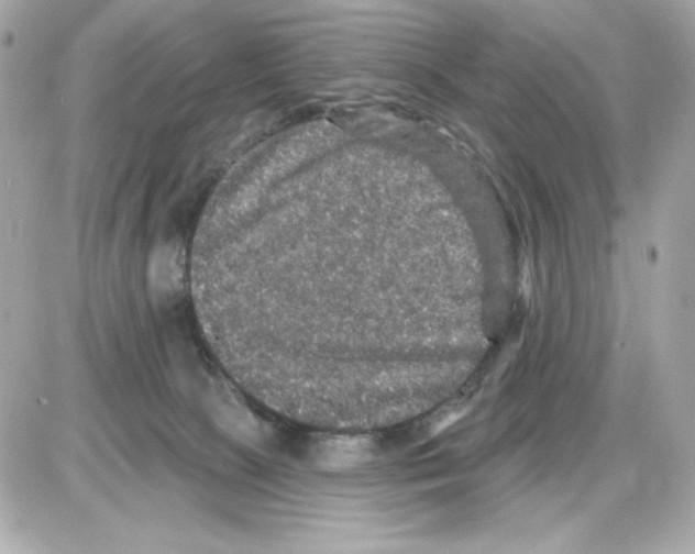 X0000085260081200704092125