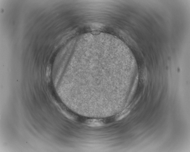 X0000085260082200704092125