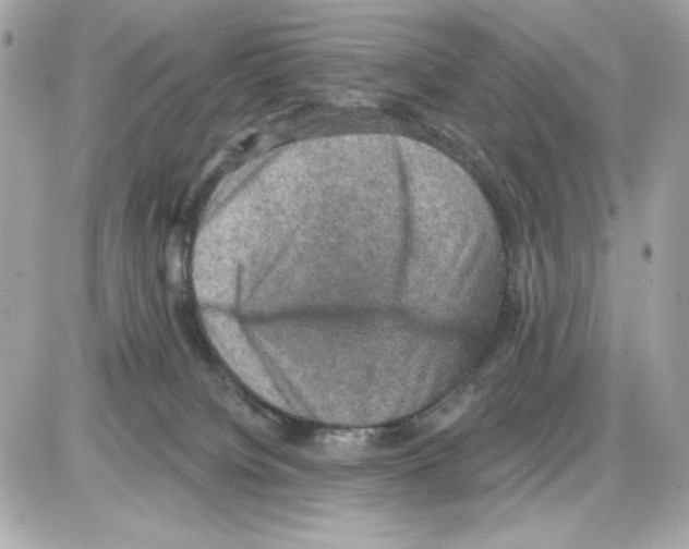 X0000085260084200704092125