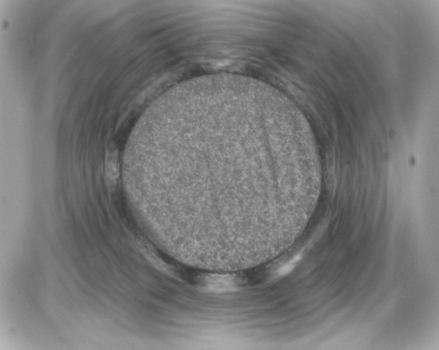 X0000085260085200704092125