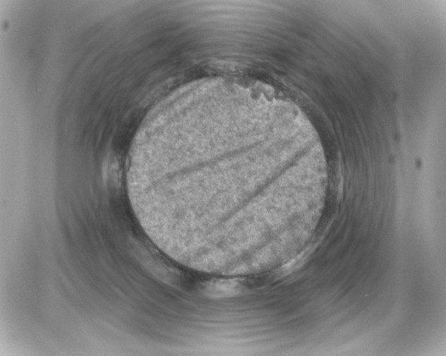 X0000085260086200704092125