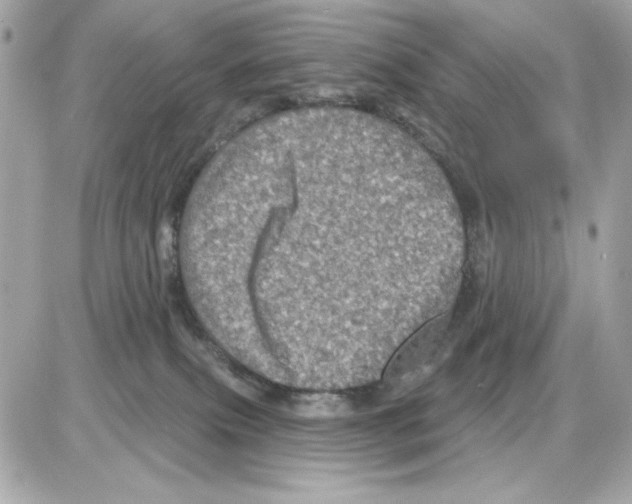 X0000085260087200704092125