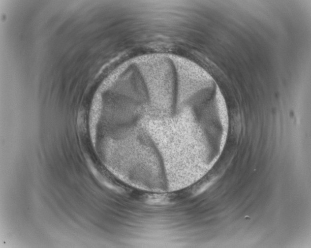 X0000085260088200704092125