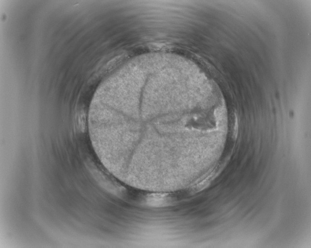 X0000085260090200704092125