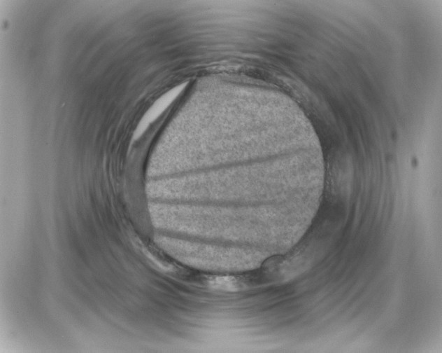 X0000085260091200704092125