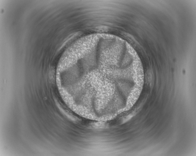 X0000085260092200704092125