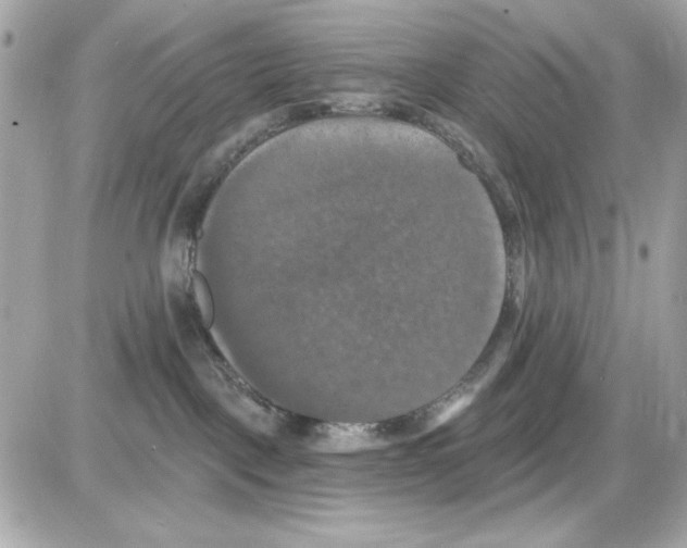 X0000085260093200704092125