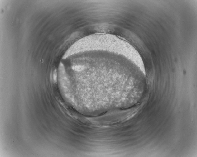 X0000085260095200704092125