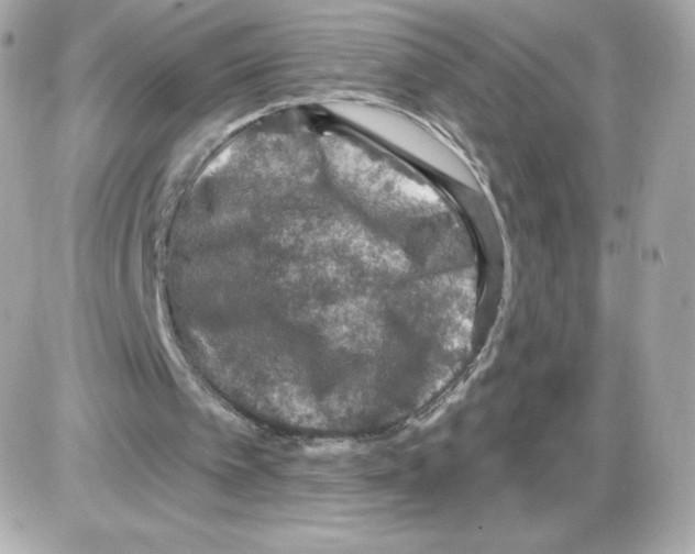 X0000085260097200704092125