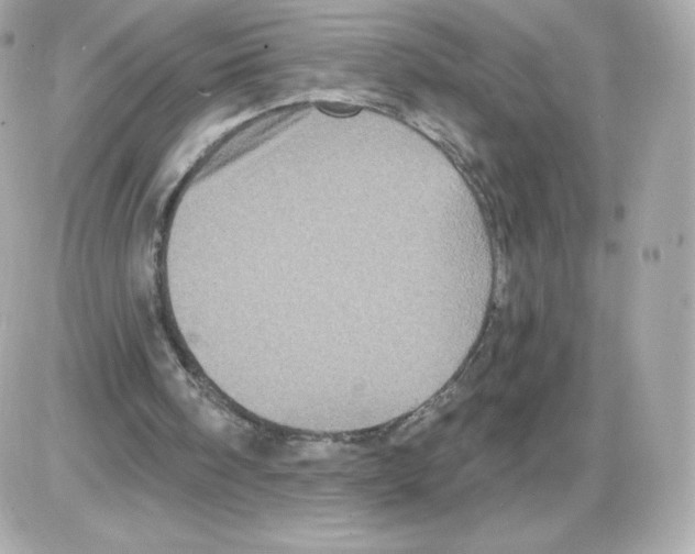 X0000085260098200704092125