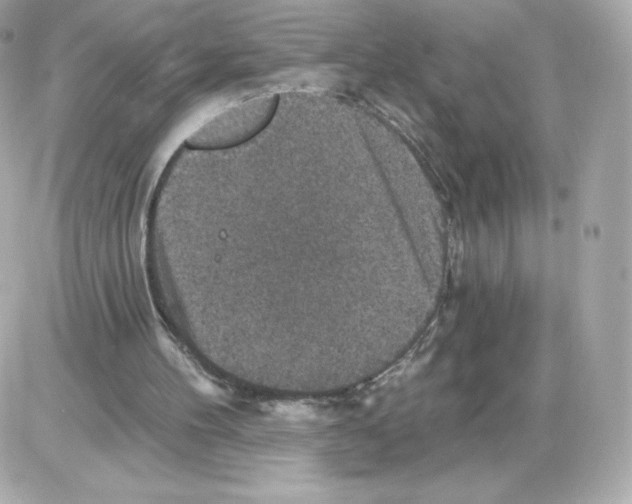 X0000085260100200704092125