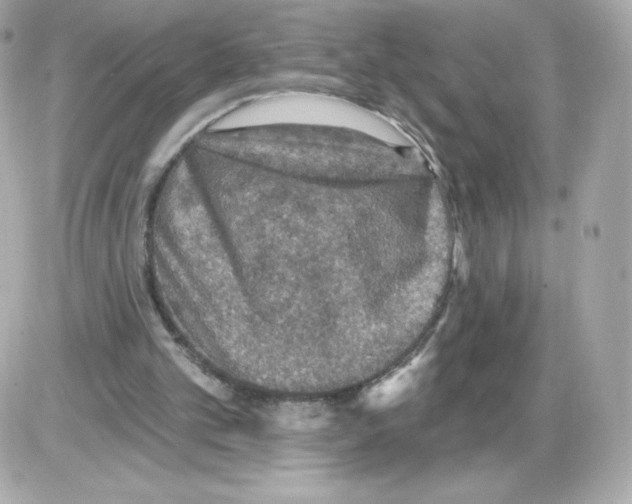 X0000085260101200704092125