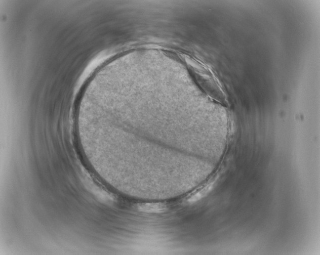 X0000085260102200704092125