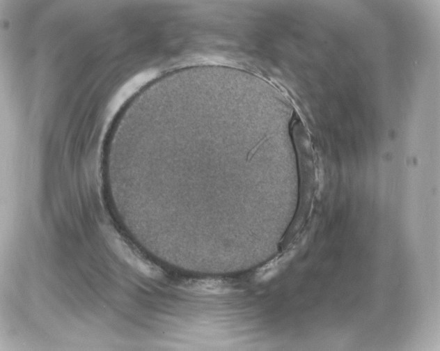 X0000085260104200704092125