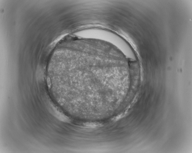 X0000085260105200704092125