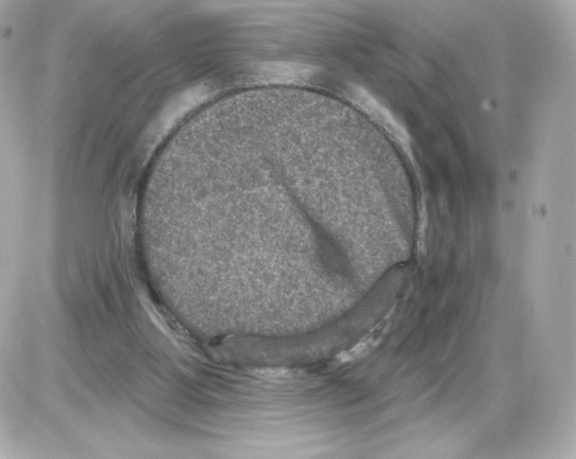 X0000085260107200704092124