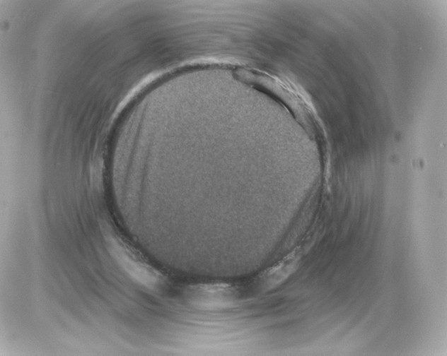 X0000085260108200704092124