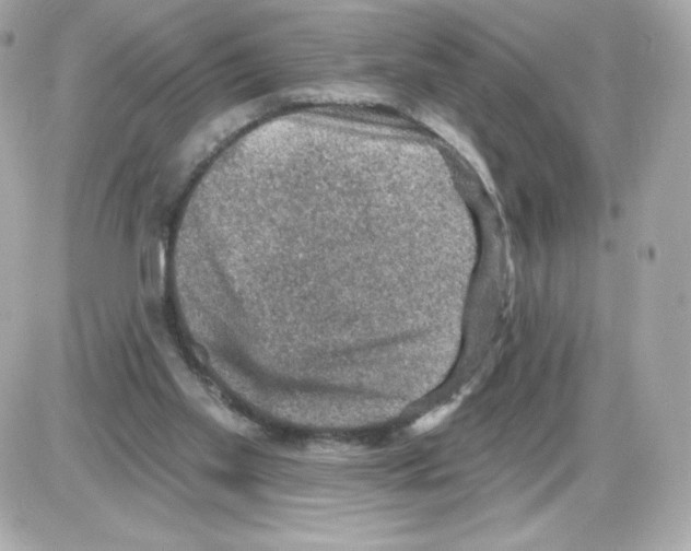 X0000085260109200704092124