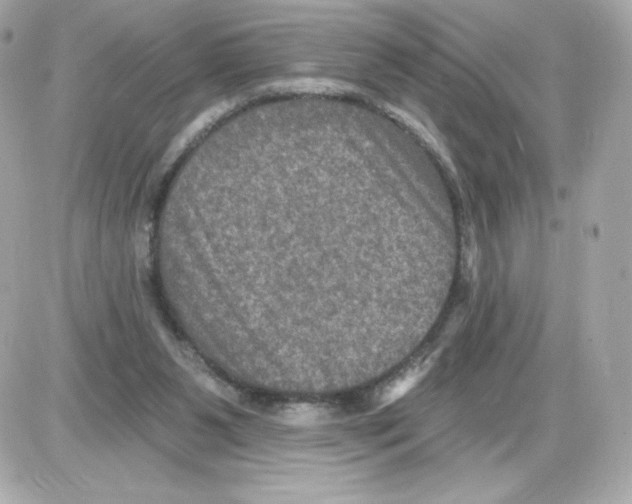 X0000085260111200704092124