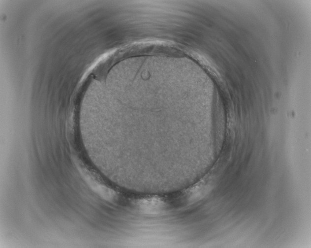 X0000085260112200704092124