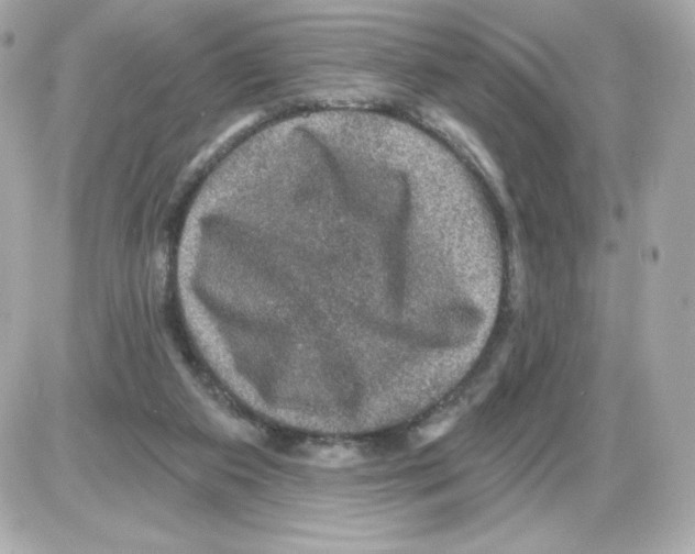 X0000085260113200704092124