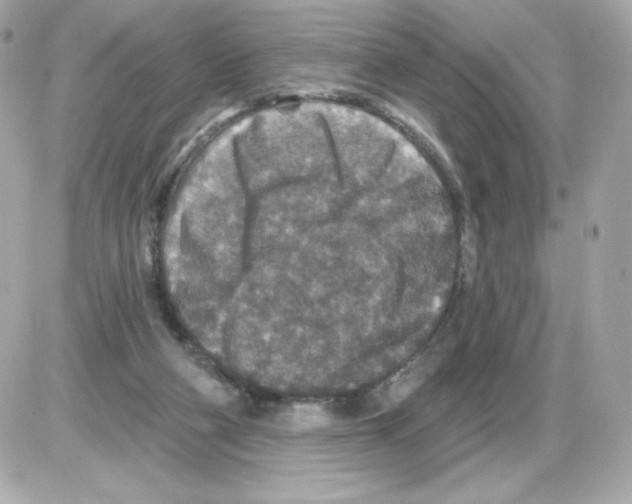 X0000085260114200704092124