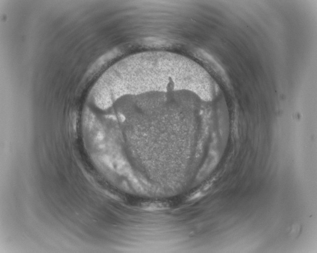 X0000085260115200704092124