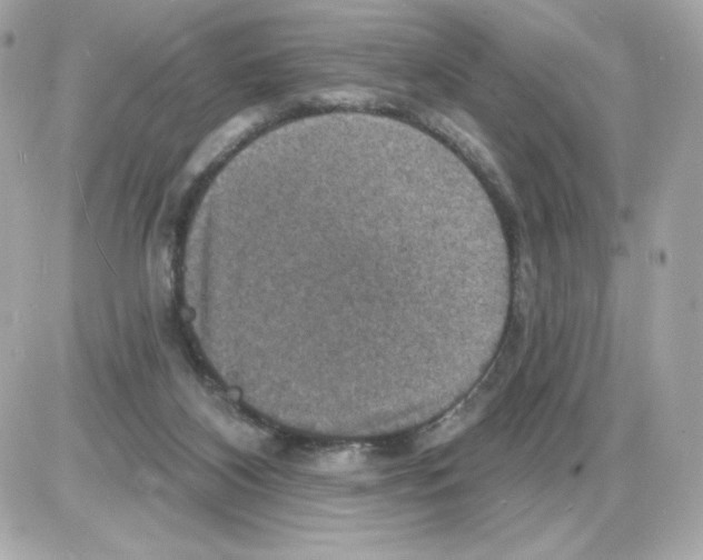 X0000085260116200704092124