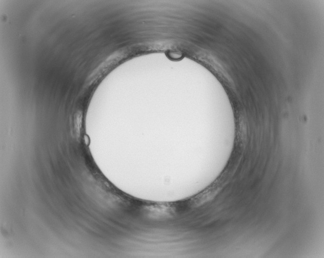 X0000085260118200704092124