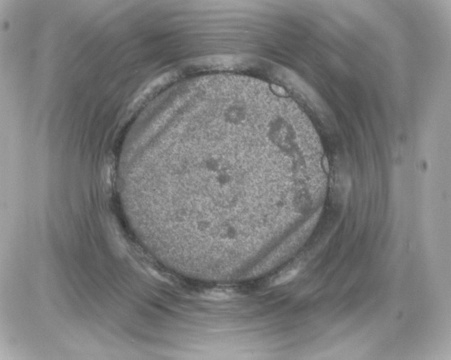 X0000085260119200704092124