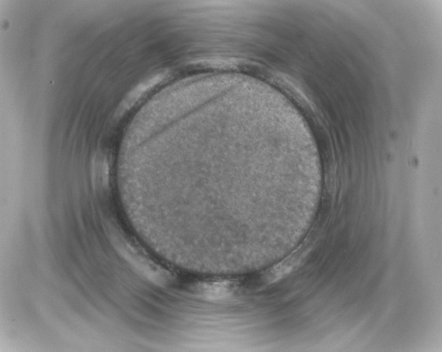 X0000085260120200704092124