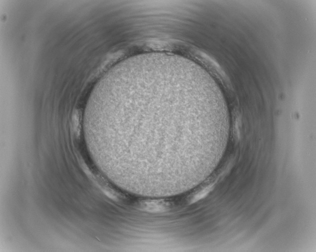 X0000085260121200704092124